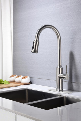 Kitchen Faucet with Pull Down Sprayer Dweva