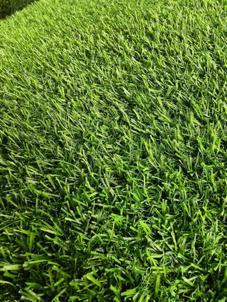 5ft x 10ft Turf Mat for Backyard, Ideal for Garden, Lawn Landscape, Patio, Garden & Balcony - Thick Fake Faux Grass with Rubber Backing & Drainage Holes(Grass height 0.78 inches/2cm) Dweva