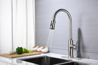 Kitchen Faucet with Pull Down Sprayer Dweva