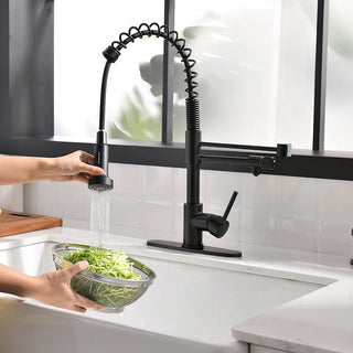 Purifier Kitchen Faucet Drinking Water Faucet With Roll Up Dish Drying Rack, Pull Down Water Filter Kitchen Sink Faucets (Matte Black) Dweva