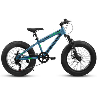 V20235 20 Inch Fat Tire Bike Adult 7 Speed Mountain Bike, Dual Disc Brakes, High Carbon Steel Frame, Front Suspension, Mountain Buggy, City Commuter City Bike, Fat Tire Bike Dweva