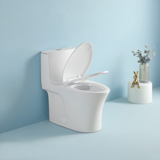 1.1/1.60 GPF Dual-Flush One Piece Toilet, Water-Saving Elongated Comfort Height Floor Mounted, Soft Closing Seat, 1000 Gram Map Flushing Score Toilet, Gloss White 24T02-GW Dweva