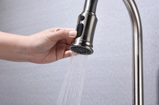 Kitchen Faucet with Pull Out Spraye Dweva