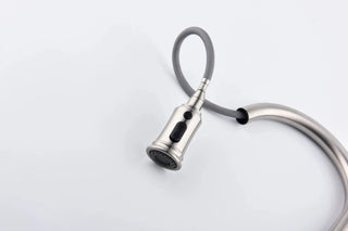 Kitchen Faucet with Pull Down Sprayer Dweva