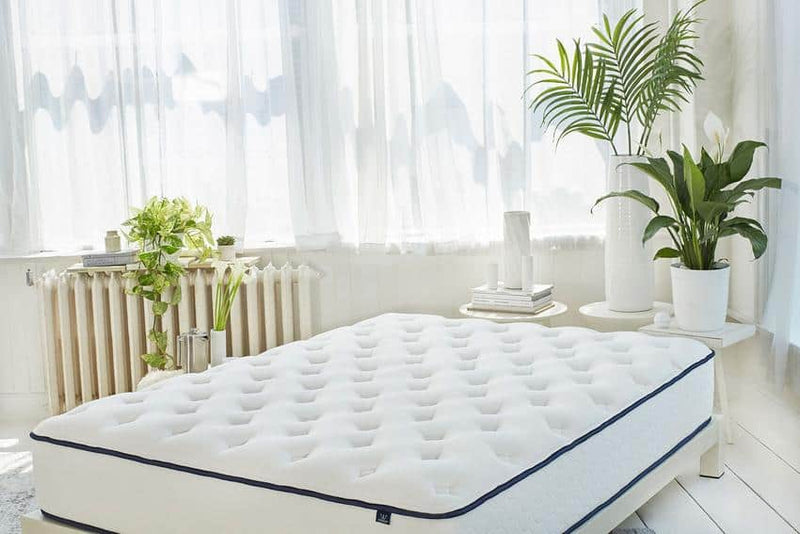 WinkBed Mattress