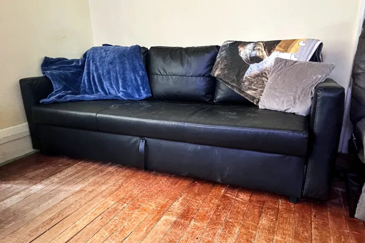 Ikea FRIHETEN Sleeper Sofa